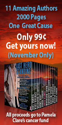 Last-Hero-banner-ad-November